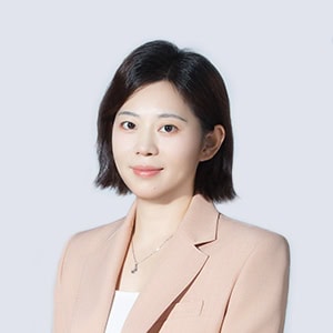 optraffic Fillier 300 300